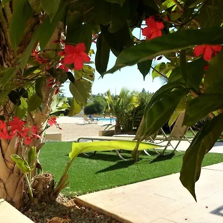 Apartamento 2 Bedroom Apartment, Nissi 3